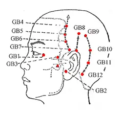 Gallbladder Meridian Chart