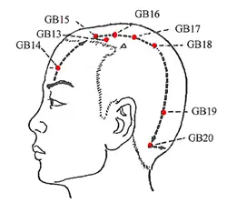 Gallbladder Meridian Chart