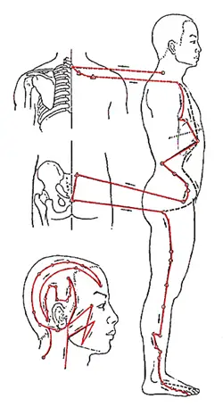 Gallbladder Meridian Chart