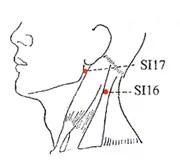 www.natural-health-zone.com - Small Intestine Meridian