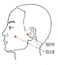 www.natural-health-zone.com - Small Intestine Meridian