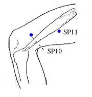 The Spleen Meridian - www.natural-health-zone.com