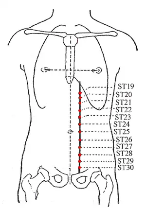Stomach Meridian Acu Points - www.natural-health-zone.com