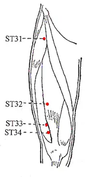 Stomach Meridian Acu Points - www.natural-health-zone.com