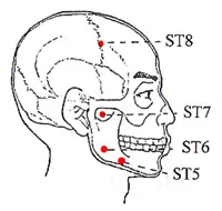 Stomach Meridian Acu Points - www.natural-health-zone.com