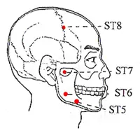 St точка. St7 точка. Точка st7 на лице. St7 акупунктура. Ин Сян точка акупунктуры.